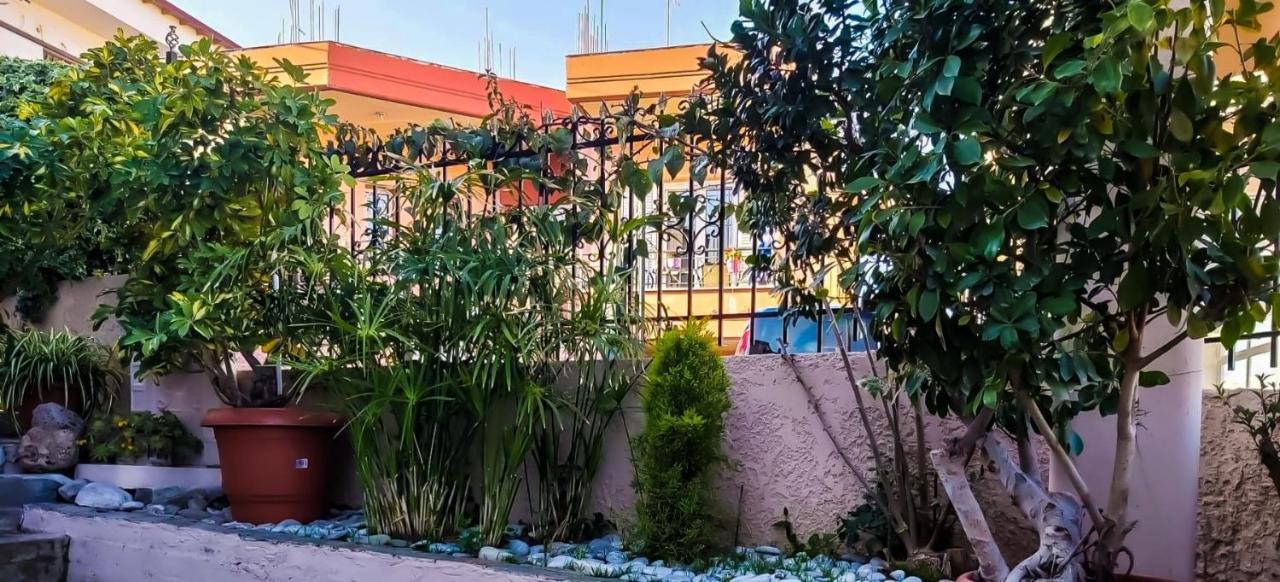 West Garden At Aigio By Greece Apartments Bagian luar foto